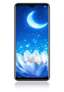Blackview A80 Pro 64GB, Black, Dual Sim, EU-Ware