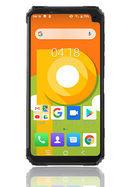 Blackview BV6100 16GB, Grey, Dual Sim