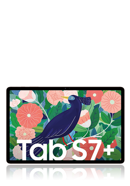 Samsung Galaxy Tab S7+ Wi-Fi T970N 128GB, Mystic Bronze, EU-Ware